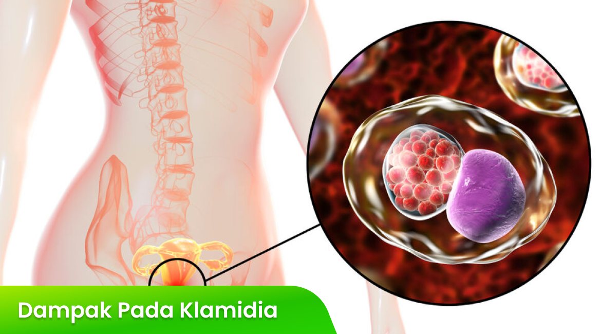 Dampak Klamidia pada Organ Reproduksi