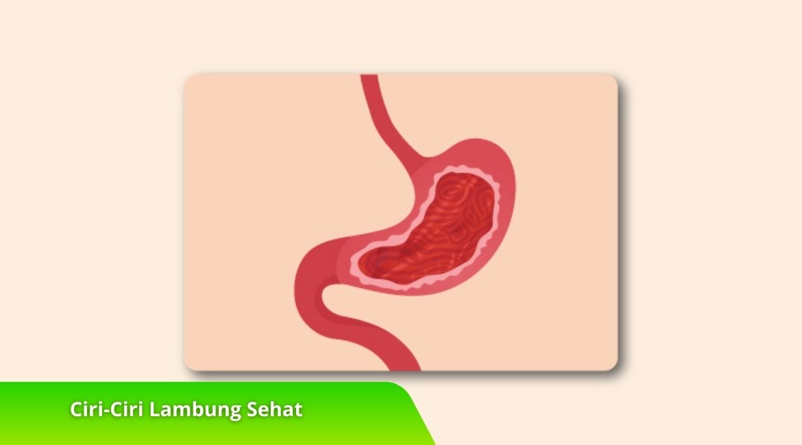 Ciri-Ciri Lambung Sehat dan Cara Menjaganya Agar Tetap Prima Ciri-Ciri Lambung Sehat dan Cara Menjaganya Agar Tetap Prima
