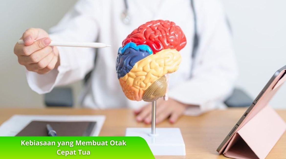 Jangan Abai! Inilah Kebiasaan yang Membuat Otak Cepat Tua Jangan Abai! Inilah Kebiasaan yang Membuat Otak Cepat Tua