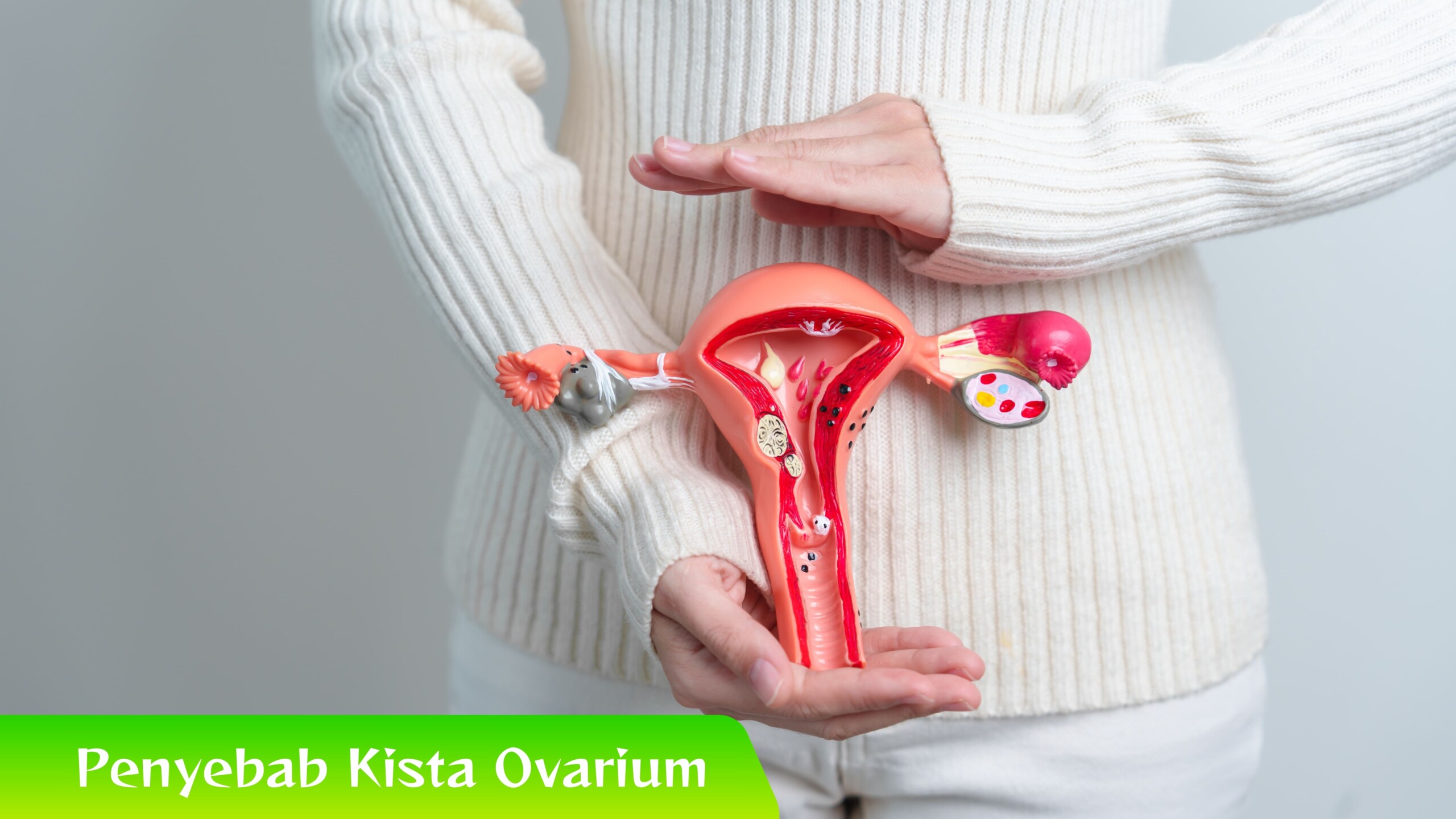 Waspadai 6 Penyebab Kista Ovarium dan Pengobatan Tradisional